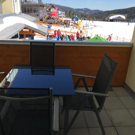 Apartment Gipfelstuermer Feldberg - In Out, Whirlpool & Infrarotkabine