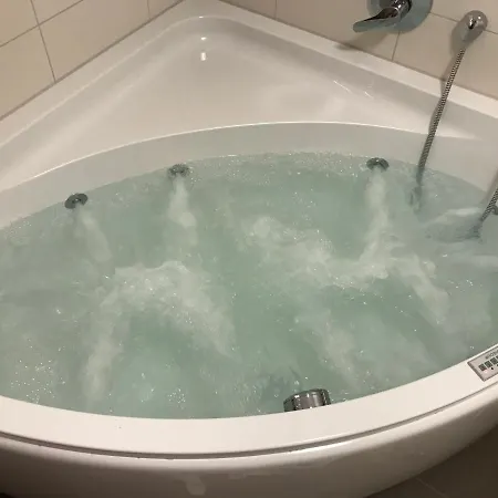 Gipfelstuermer - In Out, Whirlpool & Infrarotkabine * Feldberg (Baden-Wurttemberg)